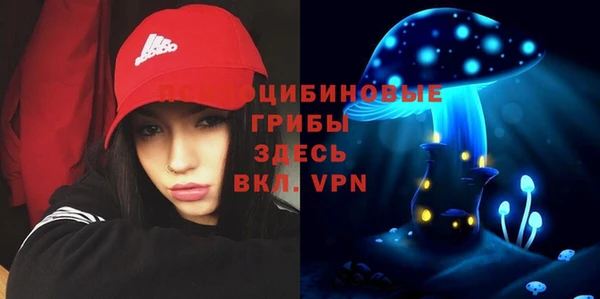 твердый Алексеевка