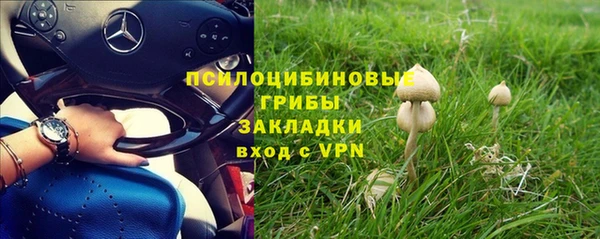 твердый Алексеевка