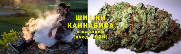 твердый Алексеевка