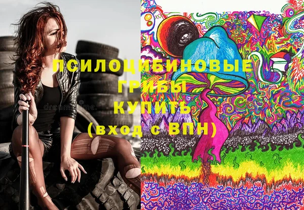твердый Алексеевка