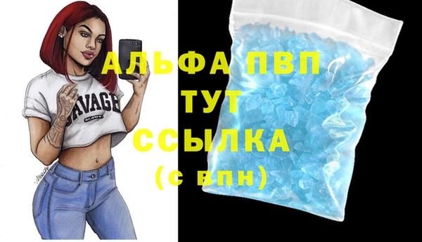 винт Алексин